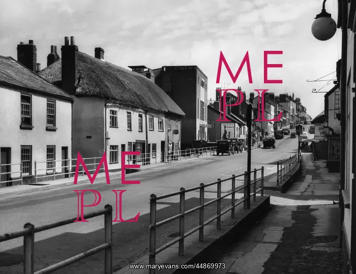  : ENGLAND / HONITON
