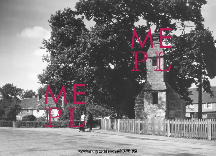 : ENGLAND / LINGFIELD : ENGLAND / LINGFIELD