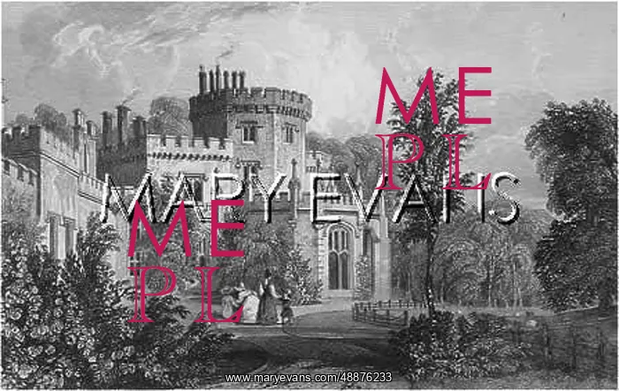  : ENGLAND / LUSCOMBE CASTLE