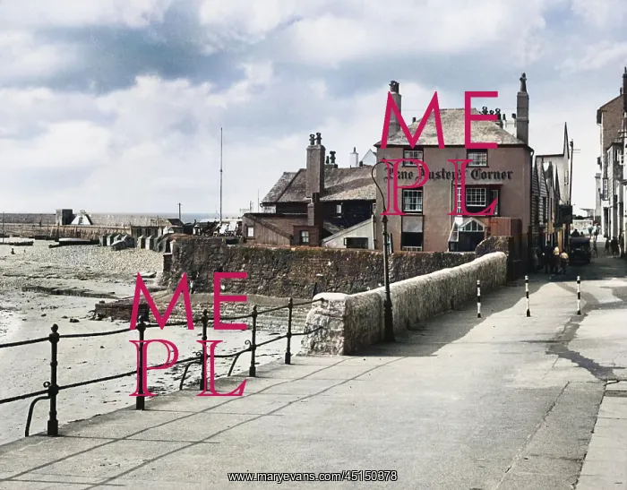 : ENGLAND / LYME REGIS : ENGLAND / LYME REGIS