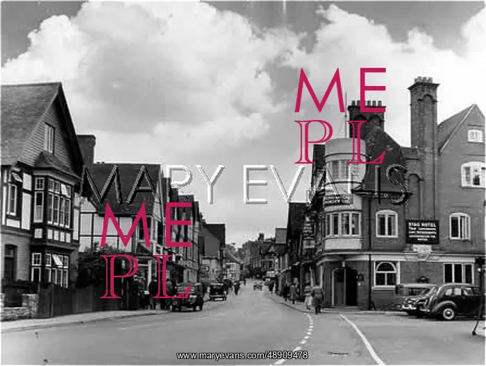 : ENGLAND / LYNDHURST : ENGLAND / LYNDHURST