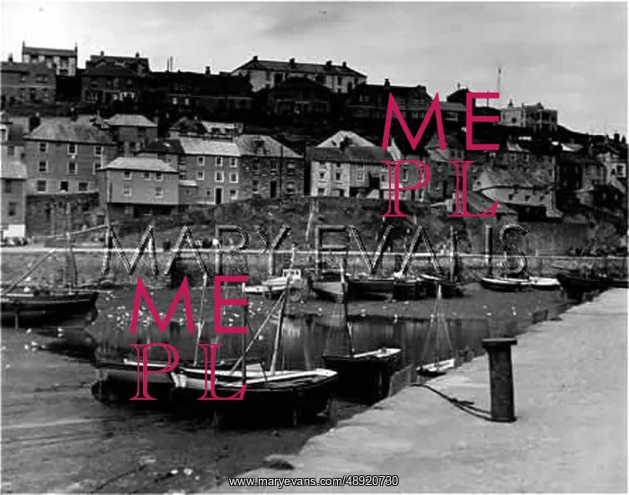 : ENGLAND / MEVAGISSEY : ENGLAND / MEVAGISSEY