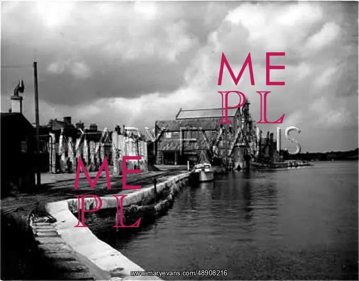 : ENGLAND / MISTLEY QUAY : ENGLAND / MISTLEY QUAY