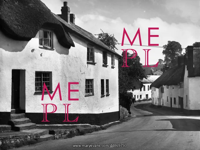 : ENGLAND / NEWTON ST. CYRES : ENGLAND / NEWTON ST. CYRES