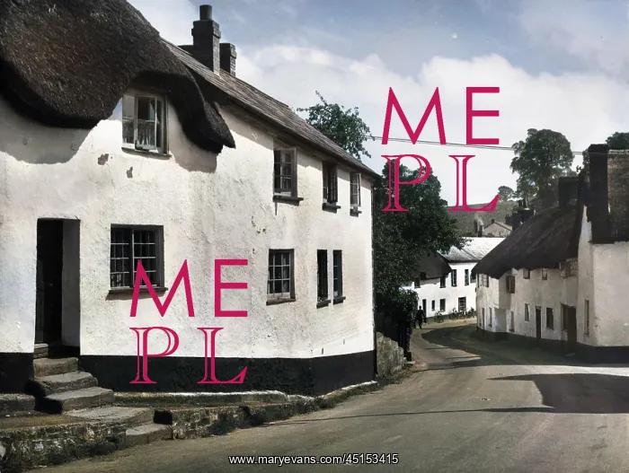 : ENGLAND / NEWTON ST. CYRES : ENGLAND / NEWTON ST. CYRES