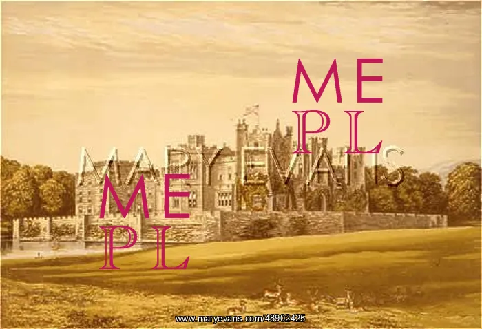 : ENGLAND / RABY CASTLE / 1879 : ENGLAND / RABY CASTLE / 1879