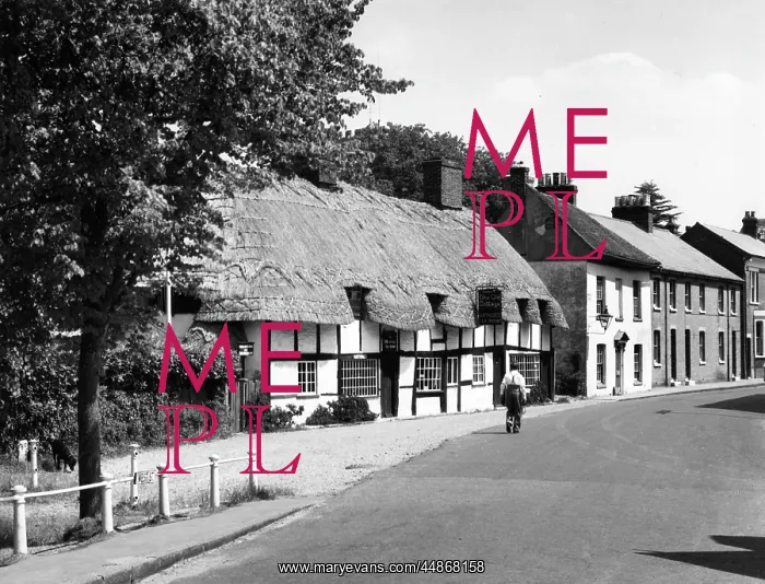 : ENGLAND / RINGWOOD : ENGLAND / RINGWOOD