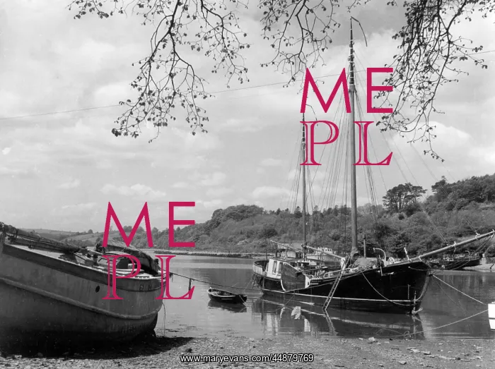 : ENGLAND / RIVER DART : ENGLAND / RIVER DART