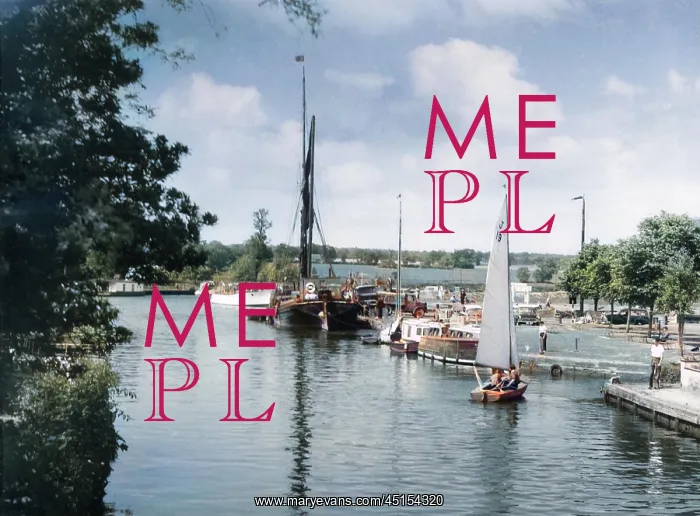 : ENGLAND / RIVER WAVENEY : ENGLAND / RIVER WAVENEY
