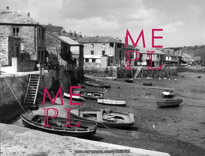 : ENGLAND / SALCOMBE : ENGLAND / SALCOMBE