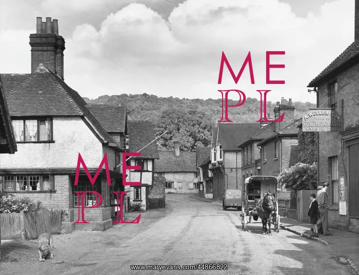  : ENGLAND / SHERE