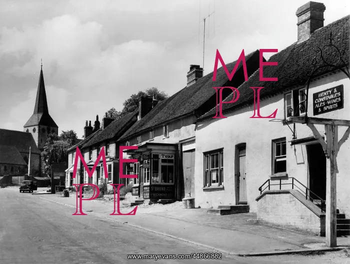 : ENGLAND / SOUTH HARTING : ENGLAND / SOUTH HARTING