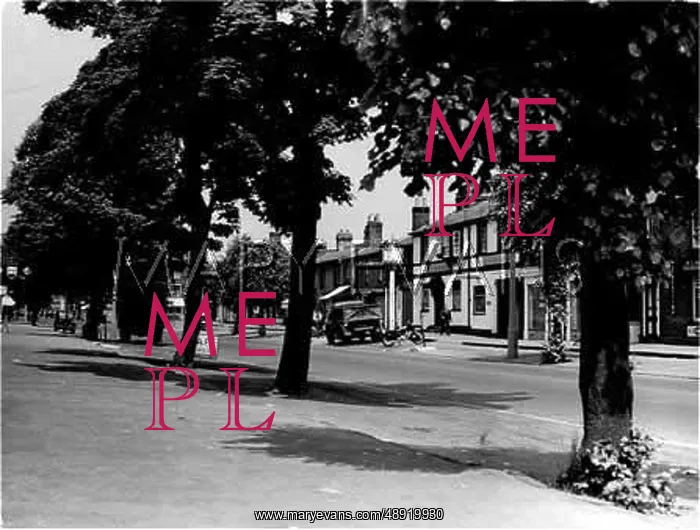 : ENGLAND / STEVENAGE : ENGLAND / STEVENAGE