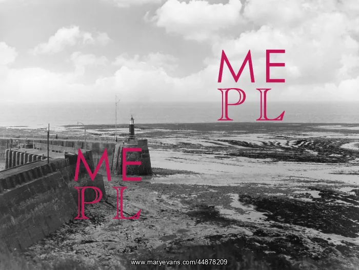 : ENGLAND / WATCHET : ENGLAND / WATCHET