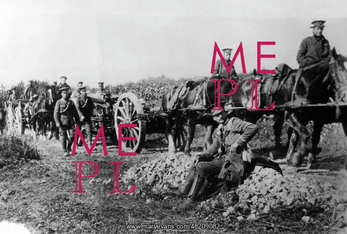 : English artillery troops at the Western Front, 1914 : English artillery troops at the Western Front, 1914