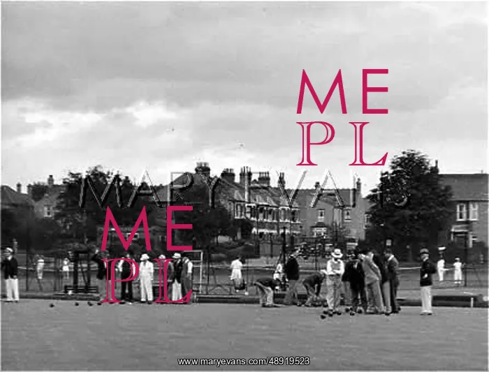 : ENGLISH BOWLERS : ENGLISH BOWLERS