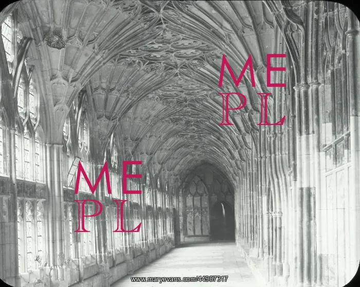 : English Cathedrals - The Cloister- Gloucester : English Cathedrals - The Cloister- Gloucester