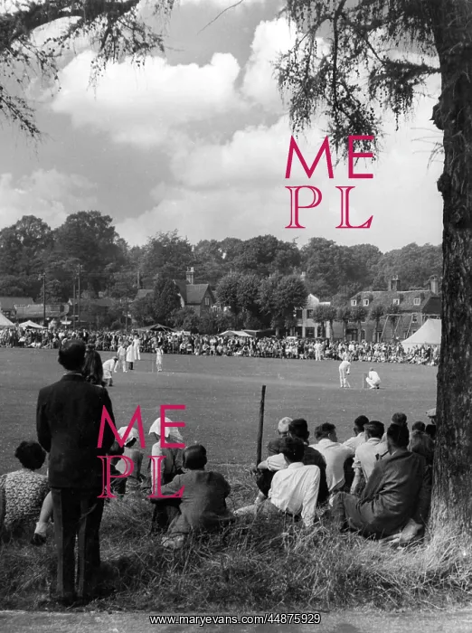 : ENGLISH CRICKET MATCH : ENGLISH CRICKET MATCH
