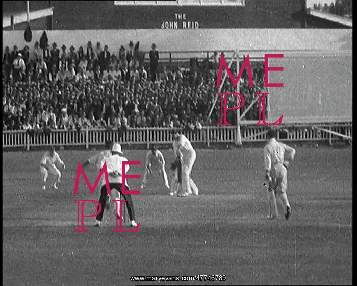 : The English Cricket Team Playing In Ashes Test : The English Cricket Team Playing In Ashes Test