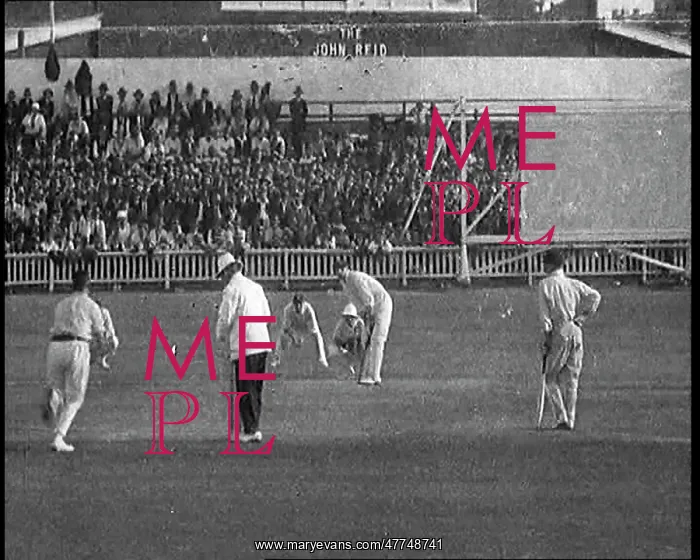 : The English Cricket Team Playing In Ashes Test : The English Cricket Team Playing In Ashes Test