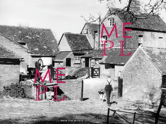 : ENGLISH FARMYARD : ENGLISH FARMYARD