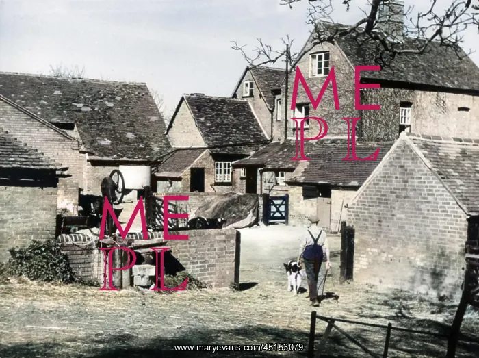: ENGLISH FARMYARD : ENGLISH FARMYARD
