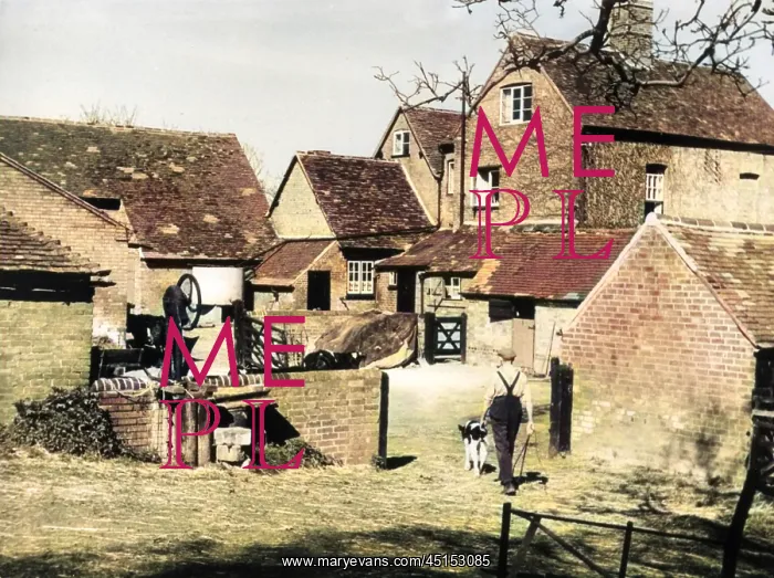 : ENGLISH FARMYARD : ENGLISH FARMYARD