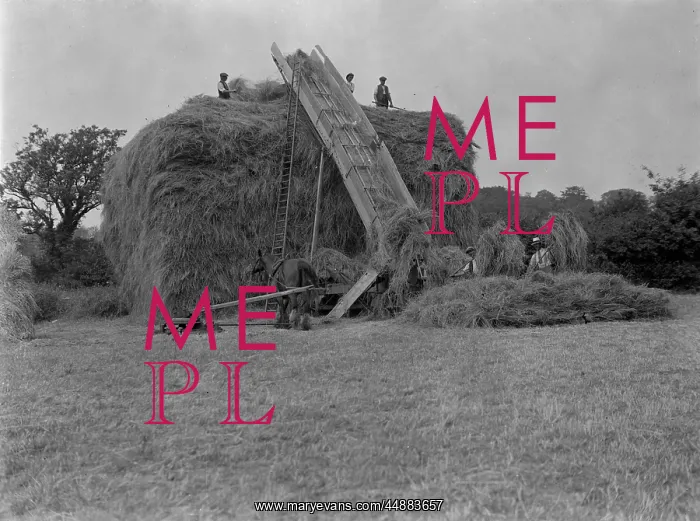 : ENGLISH HAYMAKERS 1930S : ENGLISH HAYMAKERS 1930S