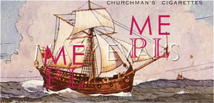 : ENGLISH HOY C18 : ENGLISH HOY C18