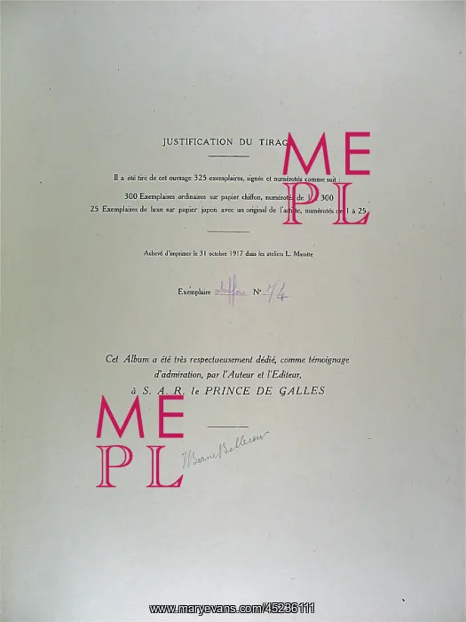 : Among the English Lines Folio : Among the English Lines Folio