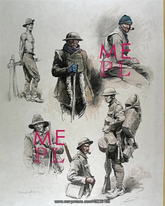 : Among the English Lines Folio : Among the English Lines Folio