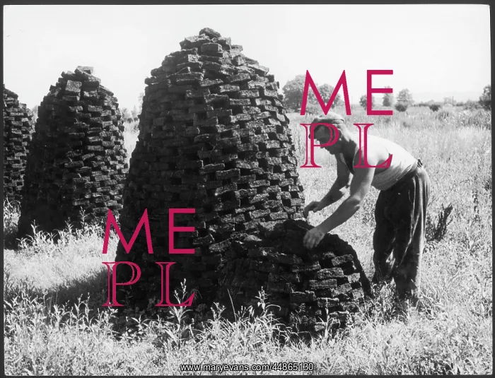 : ENGLISH PEAT INDUSTRY : ENGLISH PEAT INDUSTRY