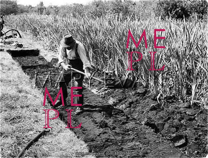 : ENGLISH PEAT INDUSTRY : ENGLISH PEAT INDUSTRY