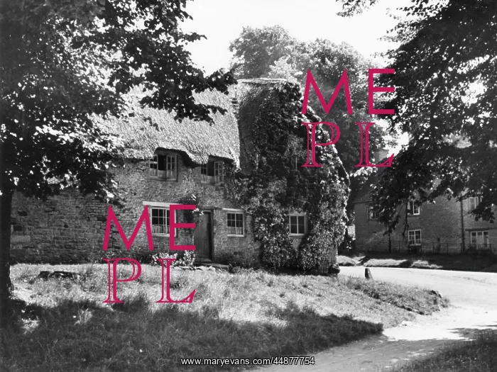 : ENGLISH THATCHED COTTAGE : ENGLISH THATCHED COTTAGE