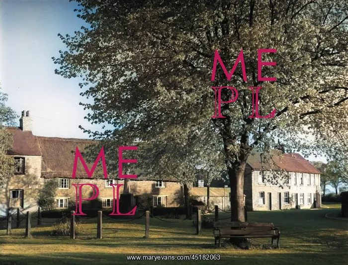: ENGLISH VILLAGE GREEN : ENGLISH VILLAGE GREEN