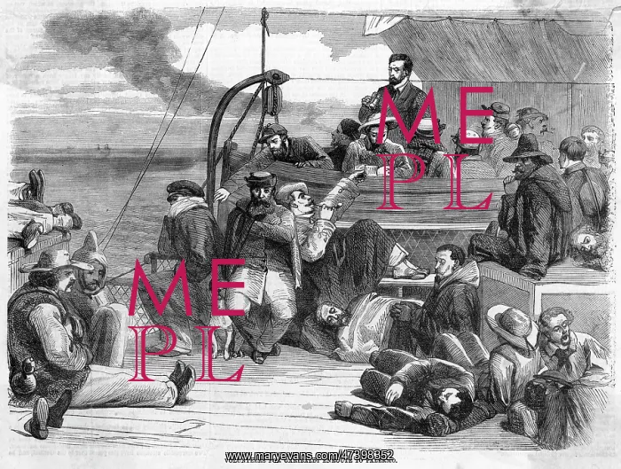: ENGLISH VOLUNTEERS : ENGLISH VOLUNTEERS