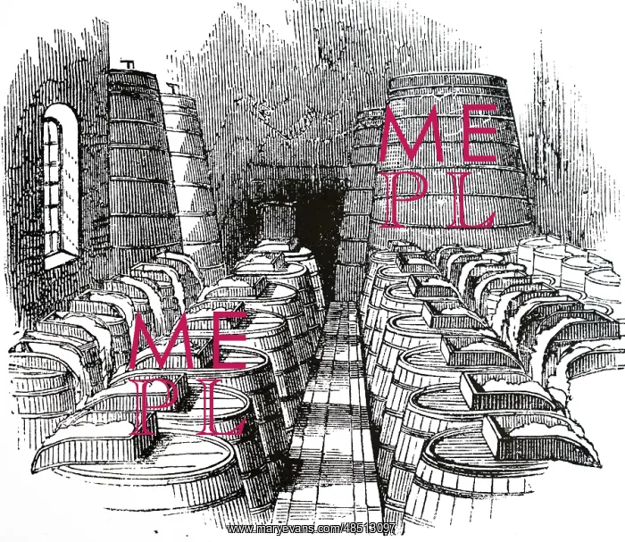 : An engraving of Brewing: cleansing vats into which : An engraving of Brewing: cleansing vats into which