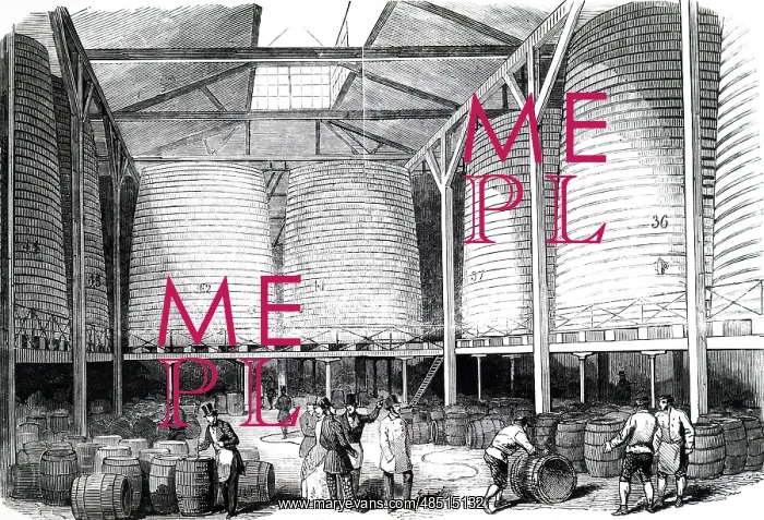 : An engraving of Brewing: storage vats at Barclay : An engraving of Brewing: storage vats at Barclay