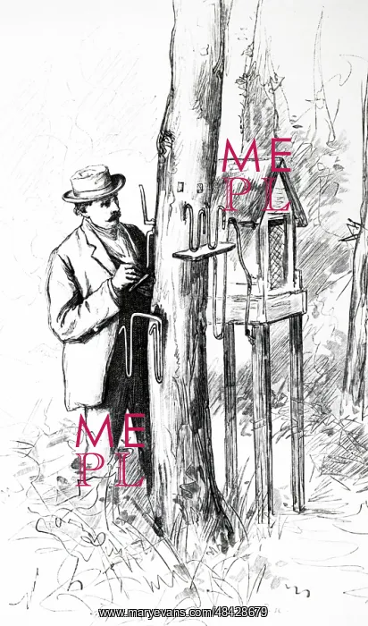 : Engraving depicting an adult student checking : Engraving depicting an adult student checking
