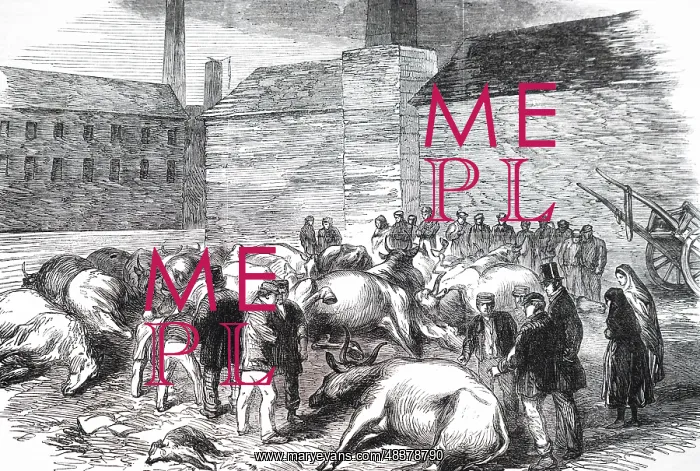 : Engraving depicting the aftermath of the flooding : Engraving depicting the aftermath of the flooding
