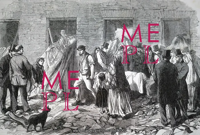 : Engraving depicting the aftermath of the flooding : Engraving depicting the aftermath of the flooding