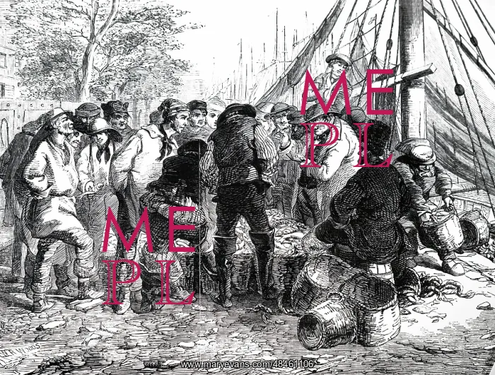 : An engraving depicting the auctioning of the herring catch : An engraving depicting the auctioning of the herring catch