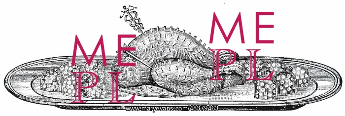 : An engraving depicting a beautifully cooked turkey : An engraving depicting a beautifully cooked turkey