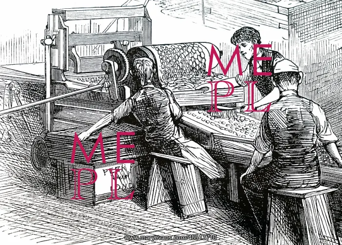 : An engraving depicting the biscuit cutting machine : An engraving depicting the biscuit cutting machine