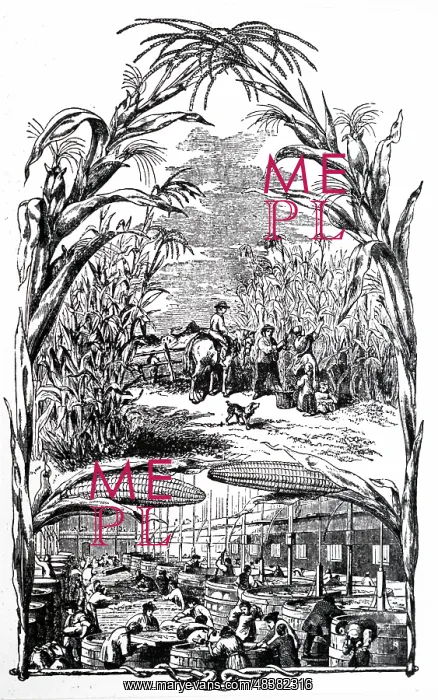 : An engraving depicting the Brown and Polson's : An engraving depicting the Brown and Polson's