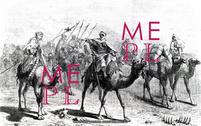 : Engraving depicting a camel caravan : Engraving depicting a camel caravan