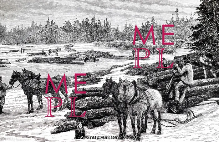 : An engraving depicting Canadian loggers : An engraving depicting Canadian loggers