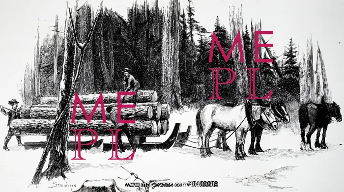 : An engraving depicting Canadian lumbermen loading : An engraving depicting Canadian lumbermen loading