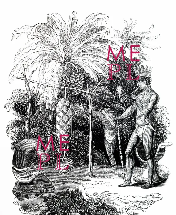 : An engraving depicting Caribbean Indians preparing : An engraving depicting Caribbean Indians preparing