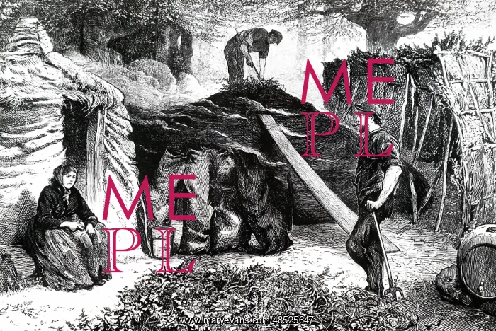 : An engraving depicting charcoal burners in Epping Forest : An engraving depicting charcoal burners in Epping Forest